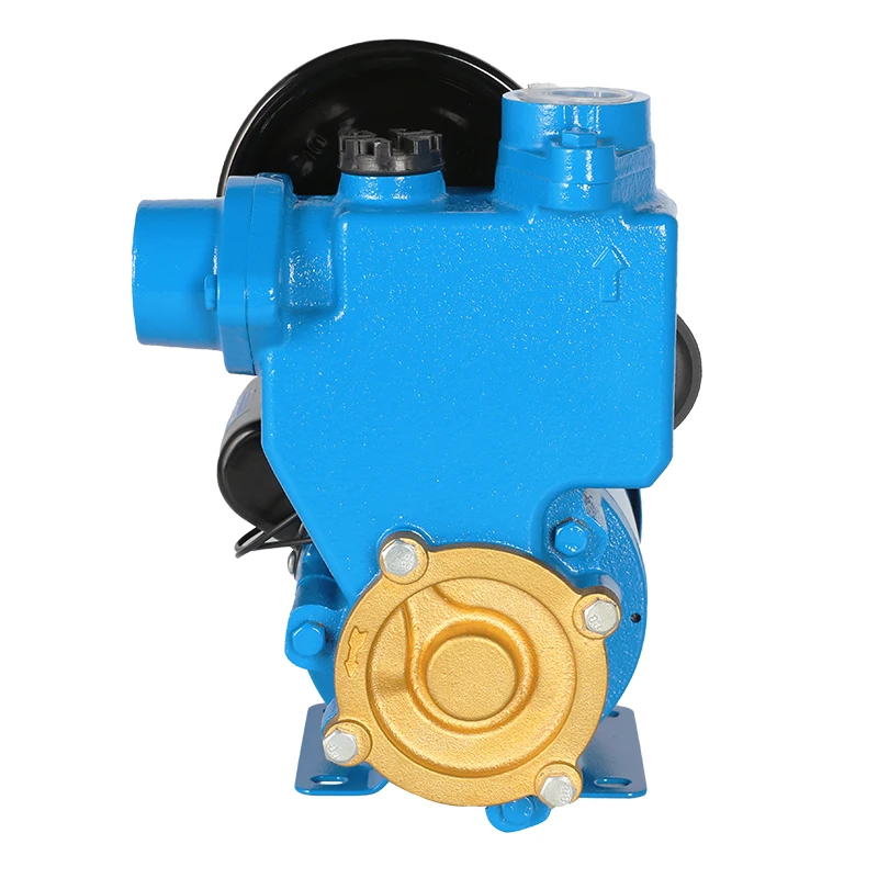 PS Domestic Auto Station mini dc single phase three Self-priming long distance water pumping motor automatic pump