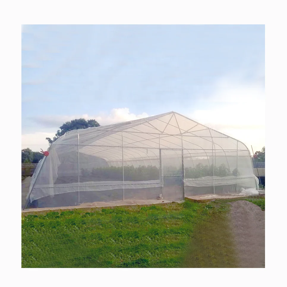 agriculture farming complete greenhouse grow Arch shape high tunnel green house for crops planting