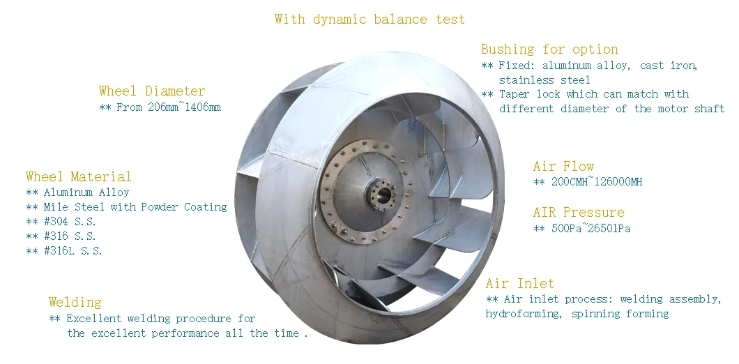 Backward.webp (8).jpg