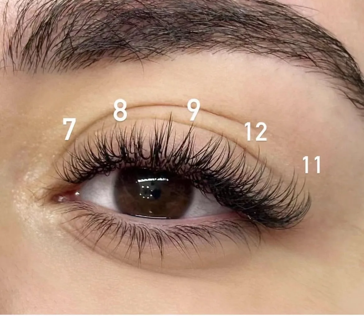 0.05/0.07mm Mega Russian Volume Camellia Auto Fan Lashes Blooming Easy Fanning Camilla Lash Eyelash Extensions