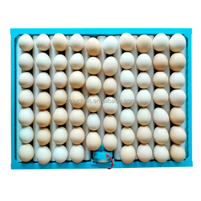 OUCHEN Best Quality Cheap Price 70 Chicken Roller Egg Tray Incubator Automatic Egg Tray For Sale