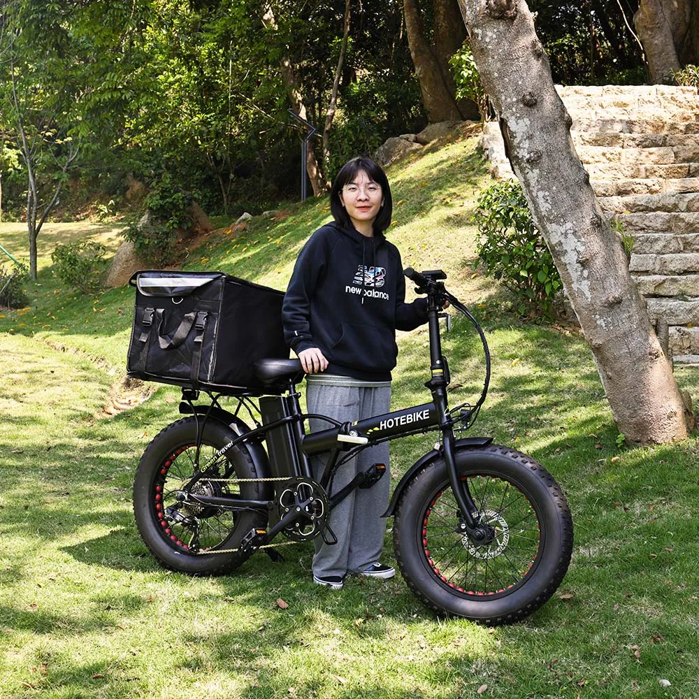 Best Price Fat Dirt Bicycle Batteries For 48V Electric Bike A7AM20 250 350 500W 750W motor foldable ebike