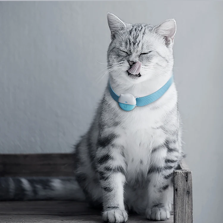 Eview 4G LTE-M Smallest GPS Pet Tracking Long Battery Life Device for Cats