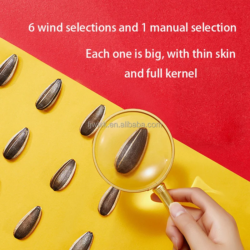 Оптовая продажа закуски жареные орехи qiaqia 70 г семена дыни