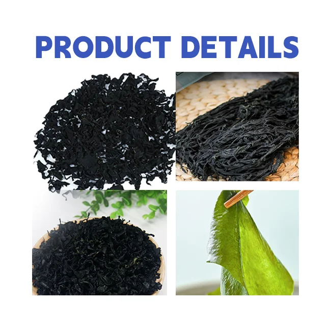 Seasoned Frozen Sushi Nori Salad Fresh and Cooked Roasted Seaweed Wakame Dried and Flavored Packaged in Bag