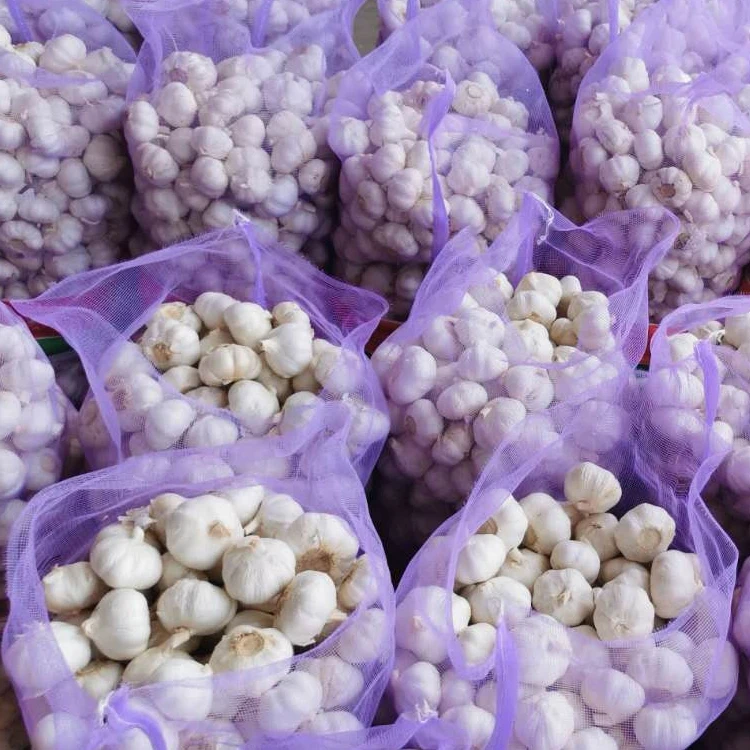 Purple White Garlic Supplier Export Good Quality Garlic