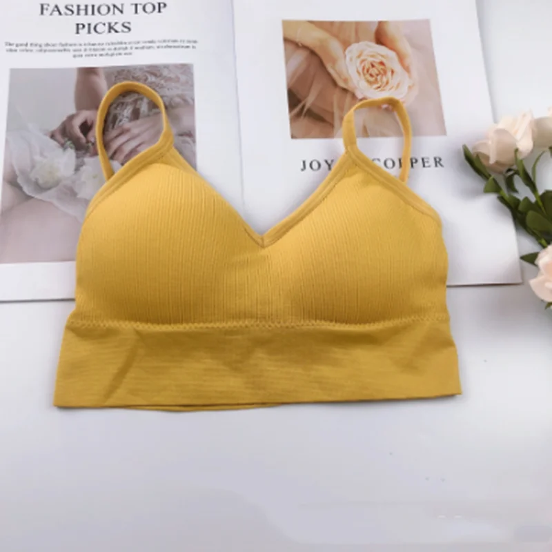In summer, students wear U-shaped open-back underwear with suspender belts and outside