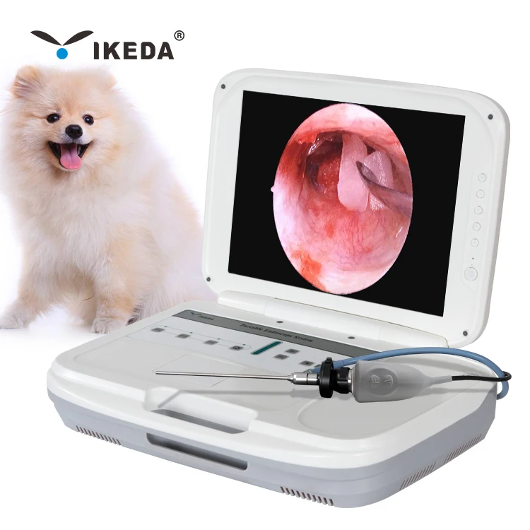 YKD-9003A1 Endoscopic ent camera/HD ENT endoscope camera for Surgery