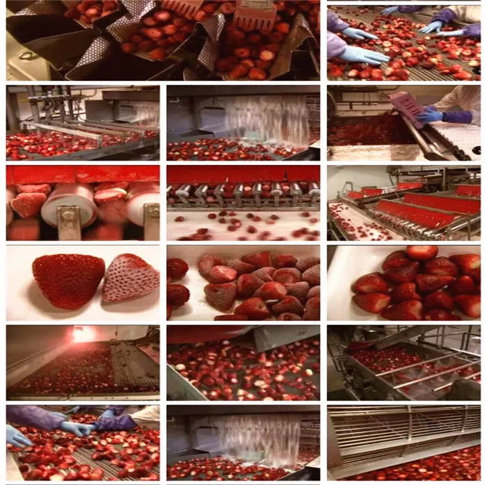 
Wholesale freeze strawberry whole FD frozen strawberry brand 