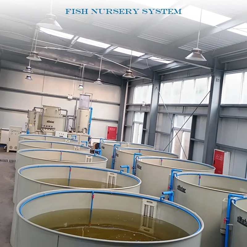 eWater Salt Water and Fresh Water Aquarium Fish Tank or Fish Pond For Above Ground Fish Farming System