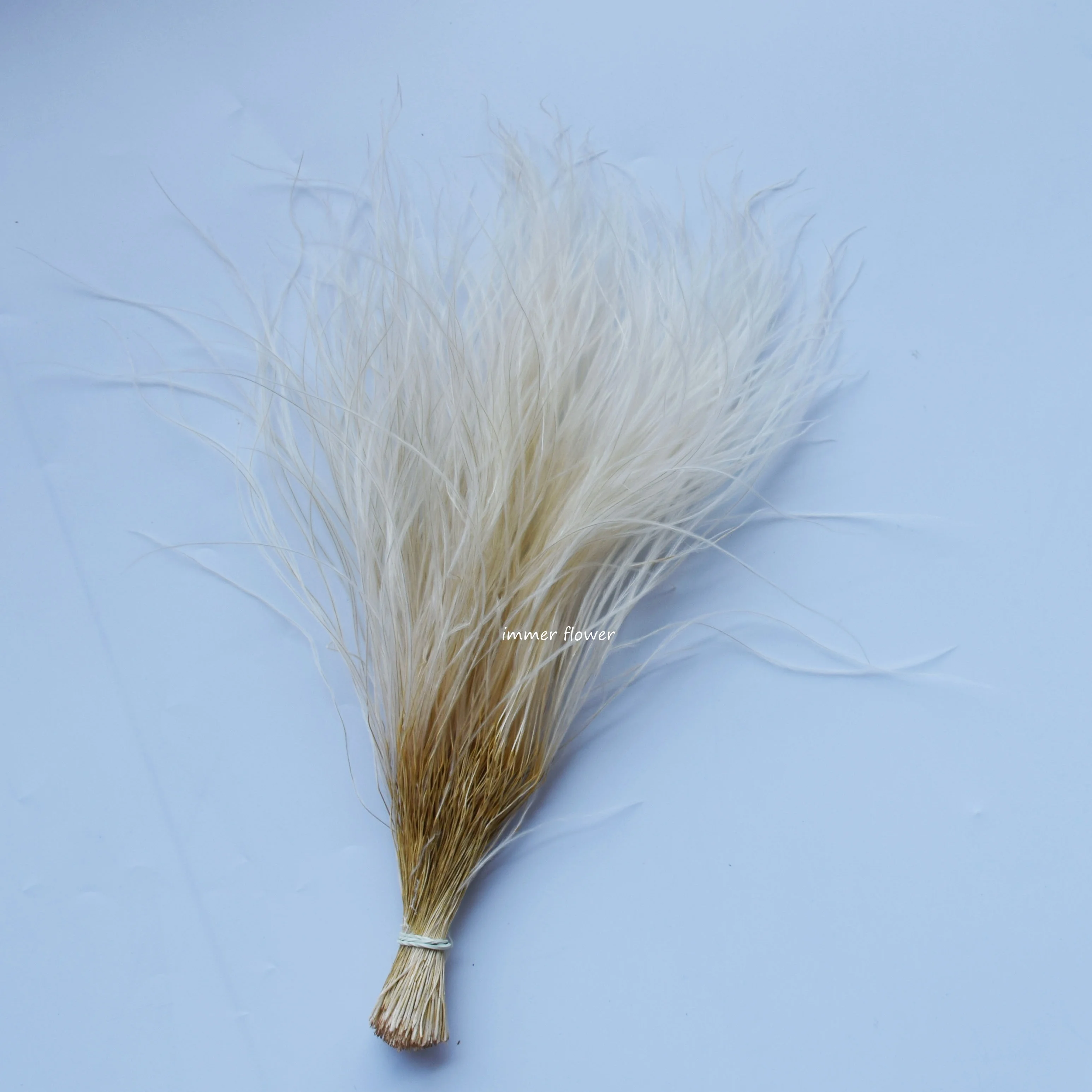 Beautiful Feather Grass Stifa Flower from China
