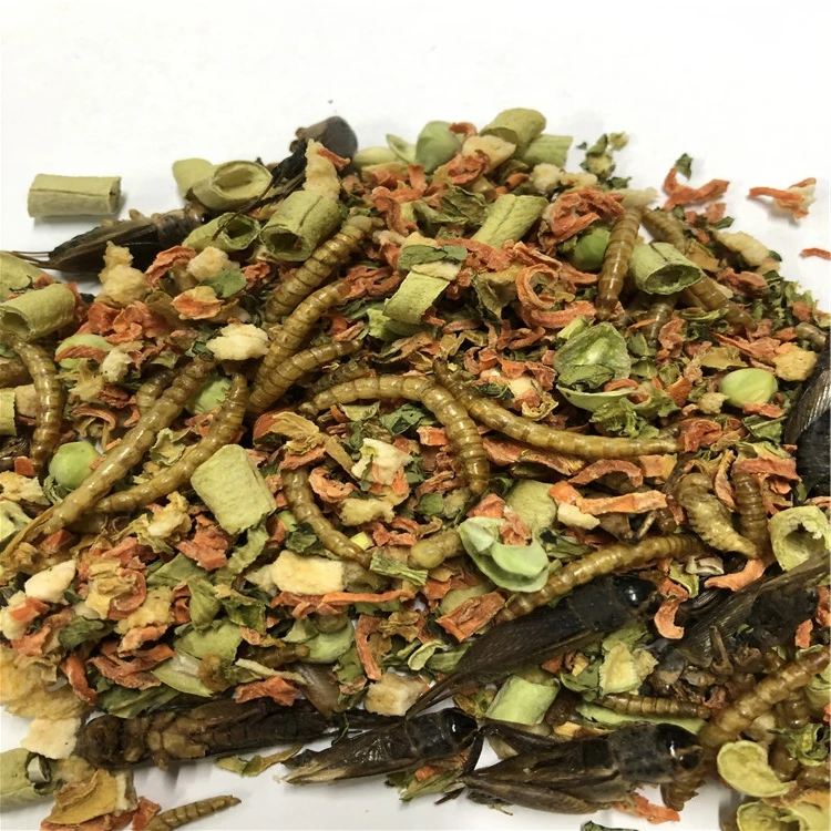 Customized freeze dried omnivore mix food for reptile, animal feeding