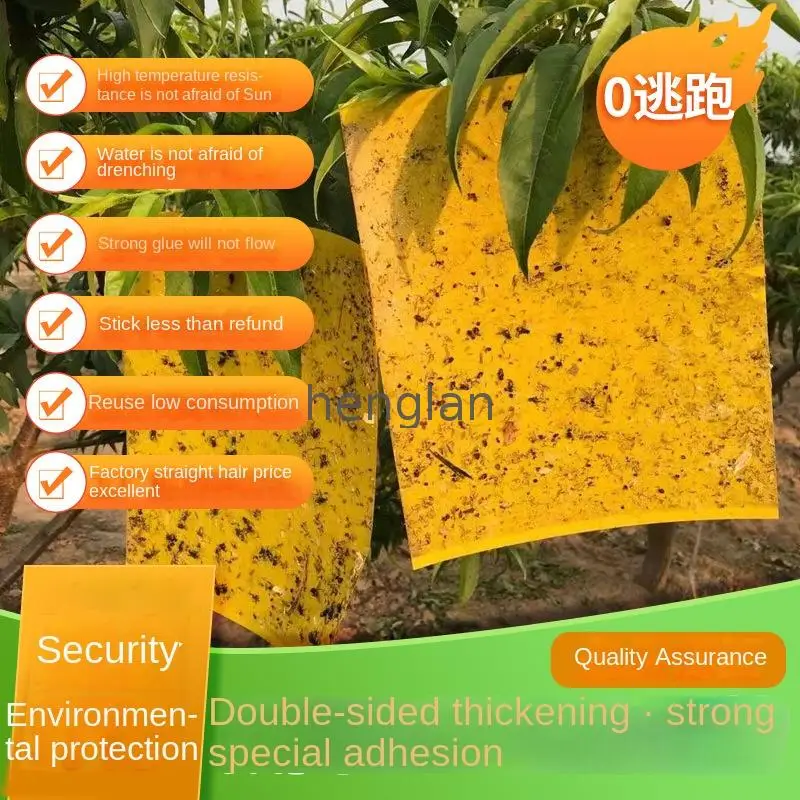 LL26 Non toxic plastic yellow sticky traps for insects pest control in agriculture