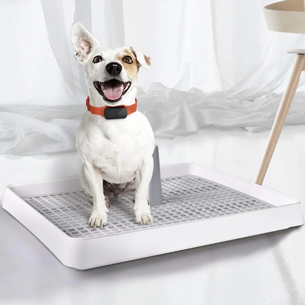 Wholesale Indoor Poop Training Pad Holder Pet Pee Moveable Tray Toilets Pets Dog Toilet Mat