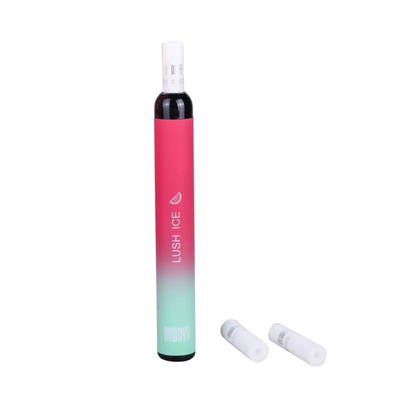 2021 Hot Selling Pod Vape Disposable filter 650 Puff Vape pen