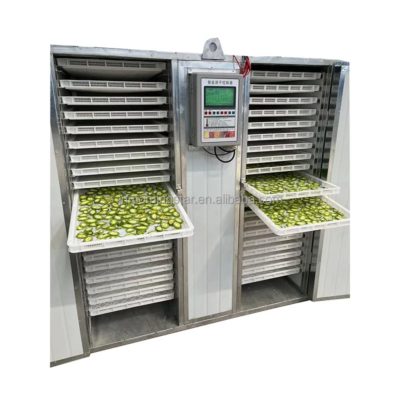 Industrial Professional Fruit vegetable food freeze drying dryer Dehydrator machine fish dryers