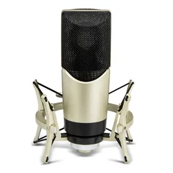 Hot sale large diaphragm condenser microphone studio mic