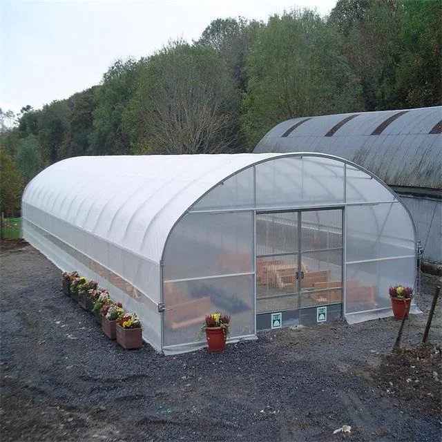 Good Quality And Easily Installed Single  span  Agricultural/Commercial PE Film  Tunnel  Green House