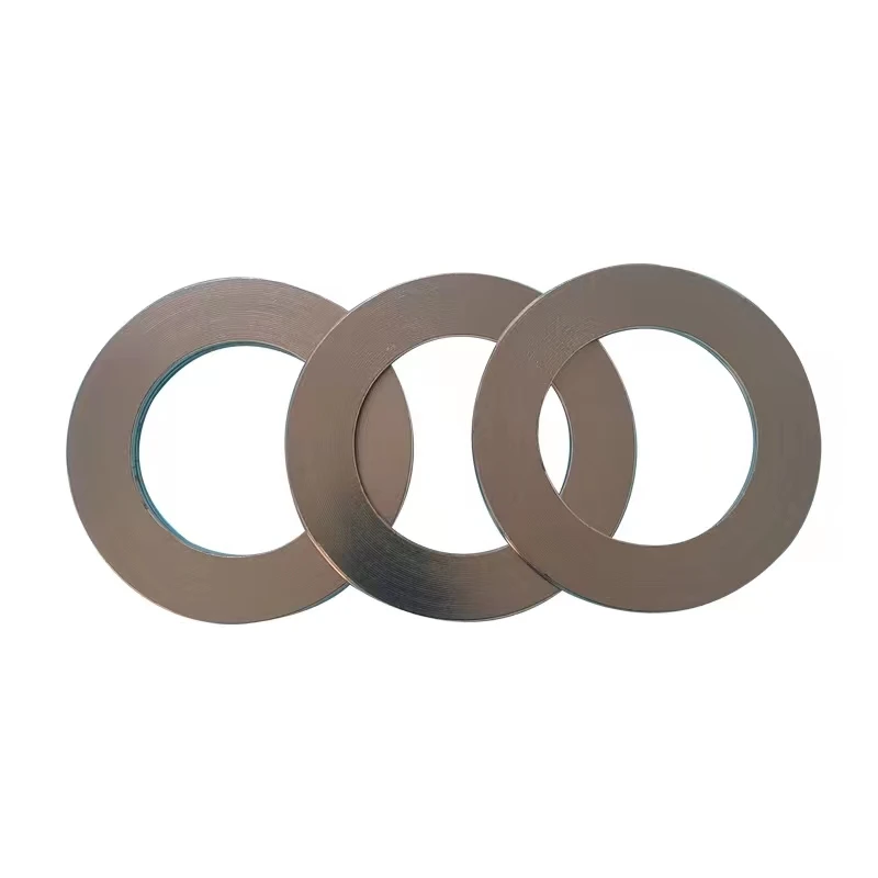 Newest Hot Sale Metal Washer Gasket Durable Metal Filled Graphite Spiral Wound Gasket