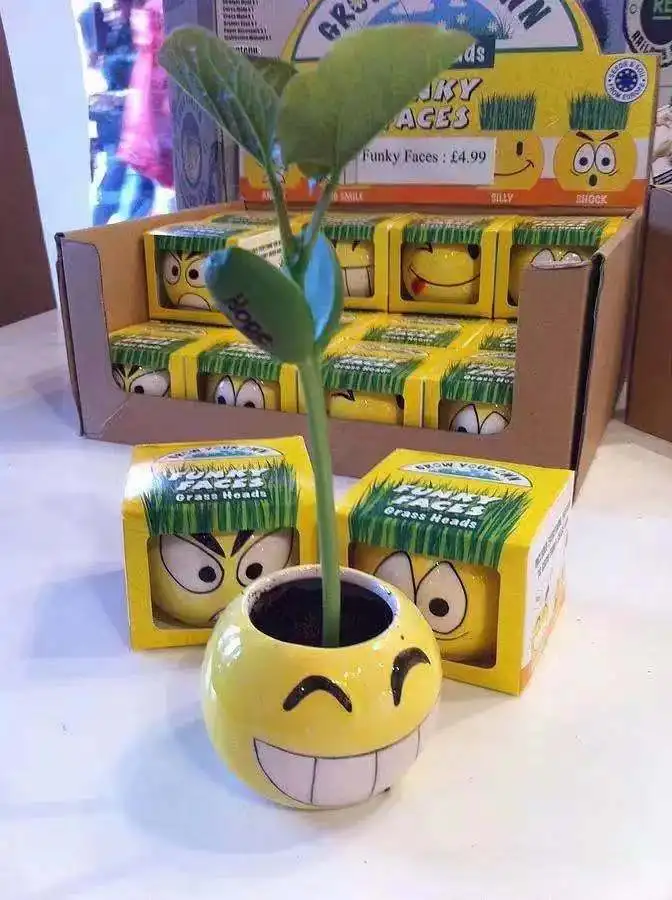 
Lucky angel bonsail gift cartoon suit cute ceranic grass dolls 