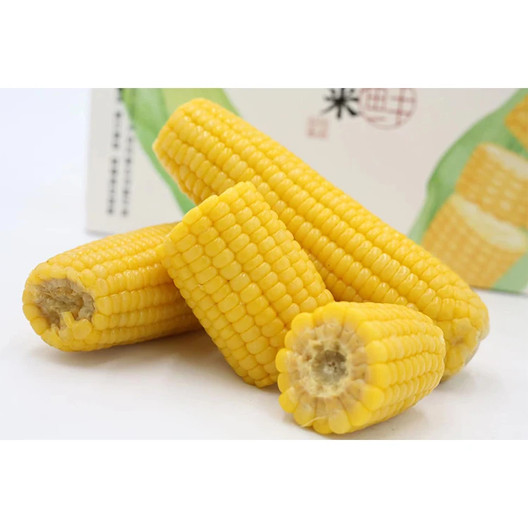 Wholesale Price Supplier Dried Yellow Corn Corn Maize Bulk Stock With Fast Shipping Sweet
