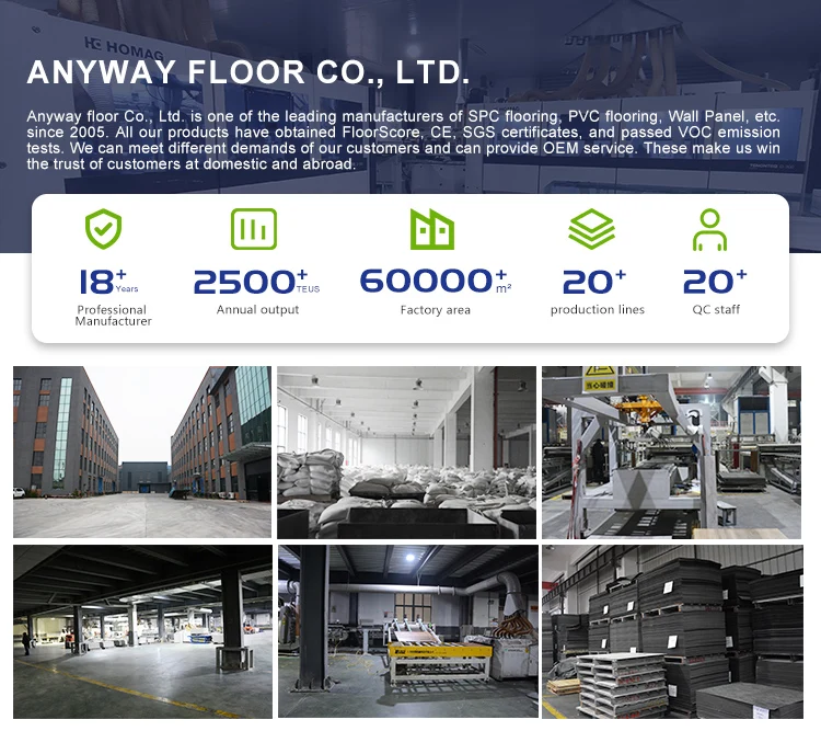 18 Years Factory PVC Vinyl Tiles 100% Original Material Pass VOC Emission Test 3mm Dry Back Flooring