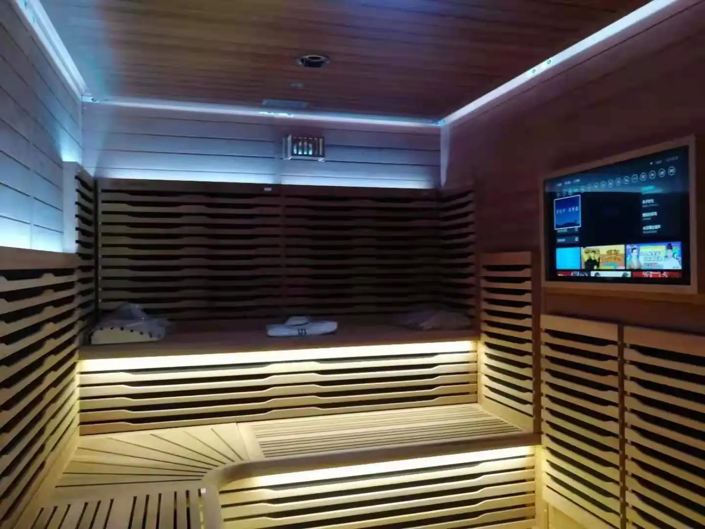 Professional sauna manufacturer luxury design customize indoor/outdoor sauna room with TV