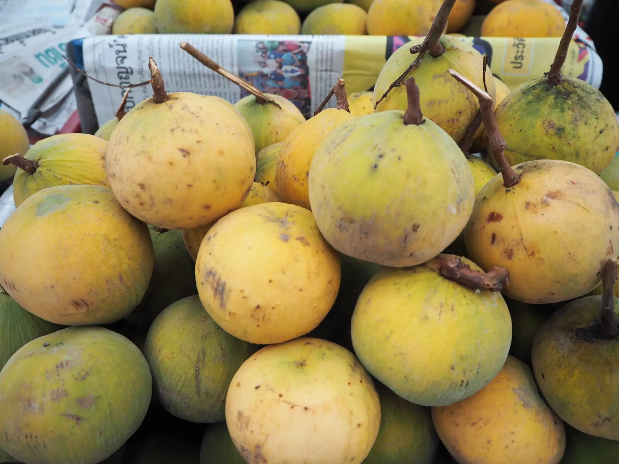 Preserved Santol Fruit Food Preservatives Natural Pickled  from Thailand