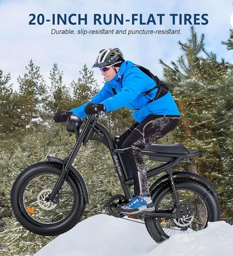 250W Brushless Motor 7 Speed Cruise Control Mountain Snow E Bike with Disc Brake