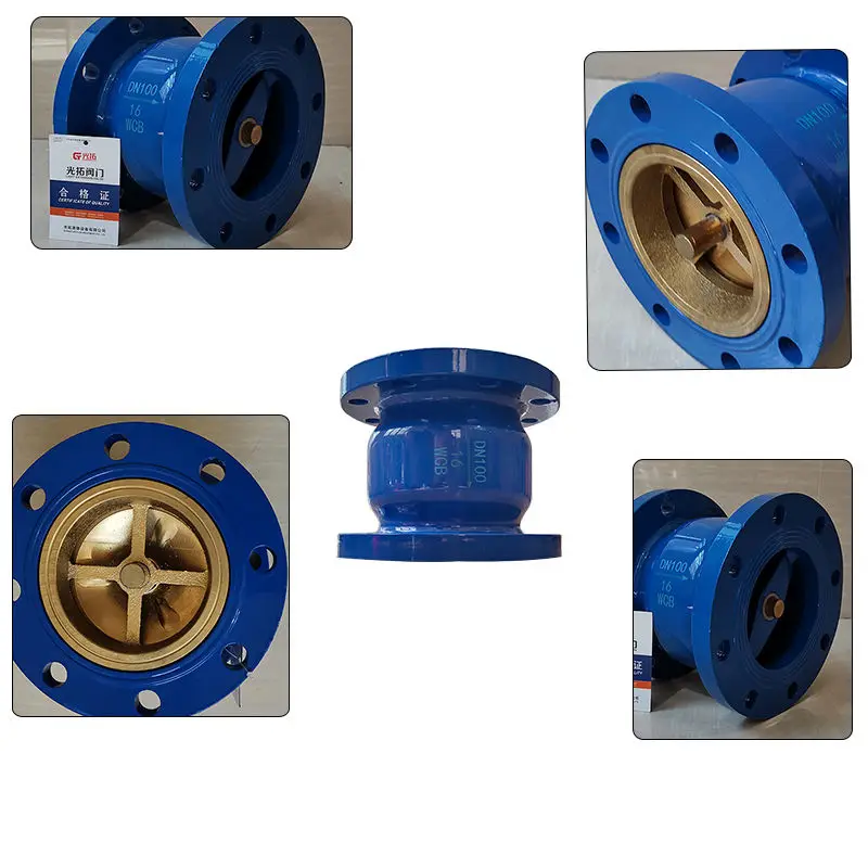 National standard flange welded spring type vertical check valve 2 inch carbon steel silencing check valve