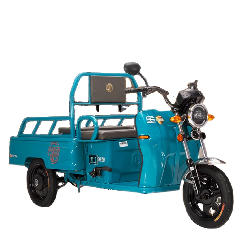 800W 60V Stainless Steel Electric Tricycle for Adults Open Cargo Design with Lead Acid Battery Power Three-Wheeled Passenger Use