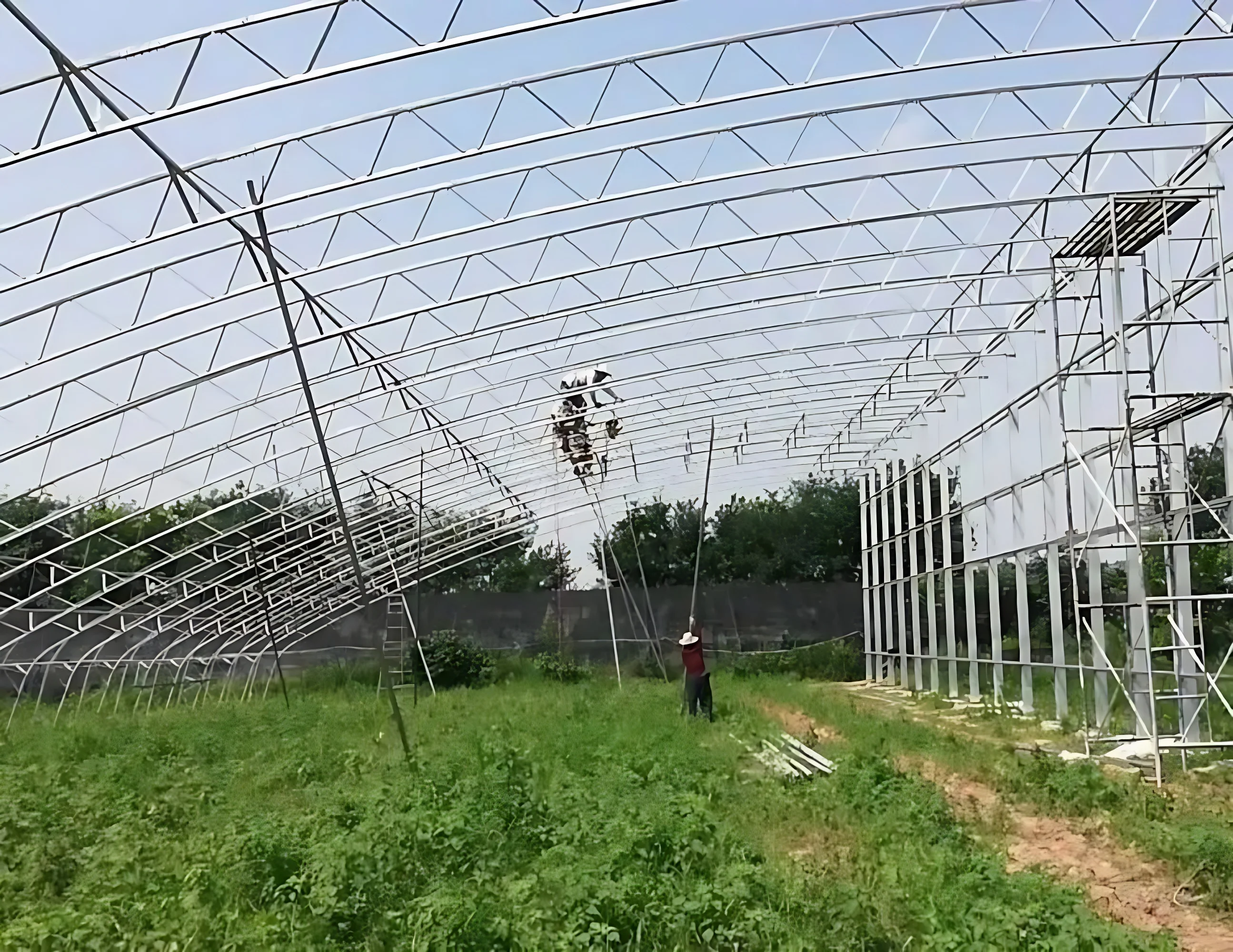Wholesale Customizable Greenhouse Double-mode Fame Arched Galvanized Steel Structure Waterproof &Winter-Warming Solar Greenhouse