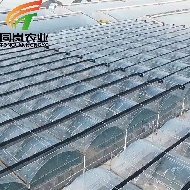 Multi-Span Commercial Shade Green House Hydroponic Systems Film Greenhouse