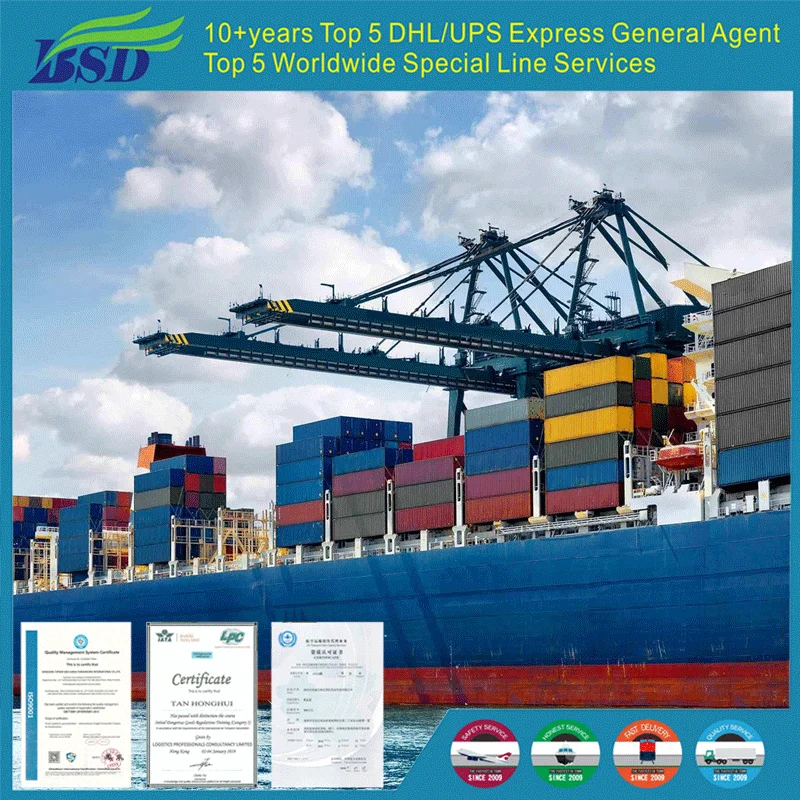 20ft 40ft Container Shipping Agent To Nigeria From Guangzhou Shanghai Qingdao Tianjin Ningbo To Onne Apapa Lagos By Sea Freight