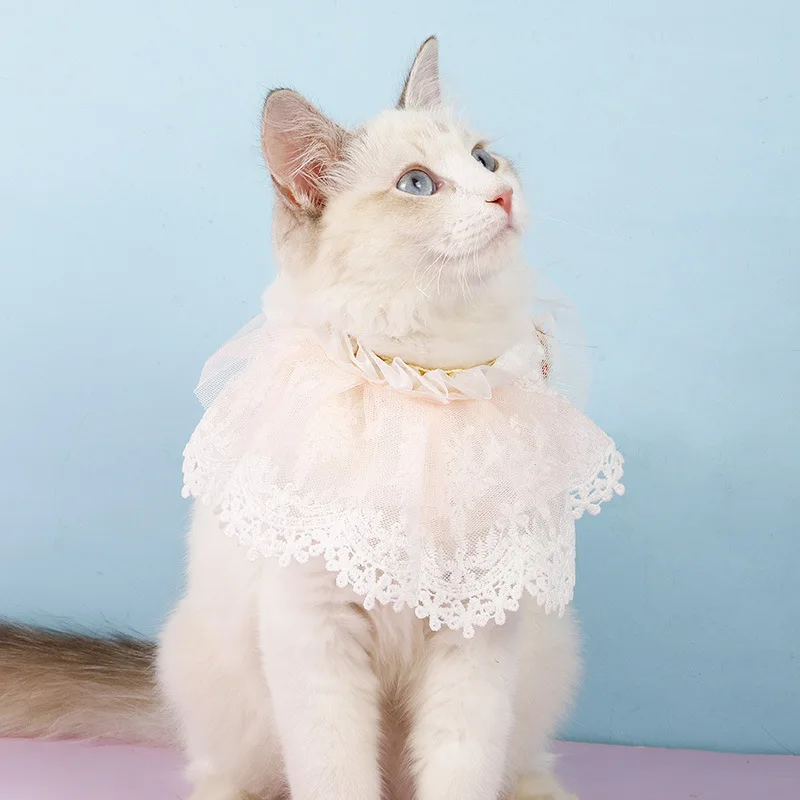 
New Wholesale Pearl Double Layer Blue Pink Beige Lace Small Fresh Pet Scarf with Beaded Pet Accessories Scarf Cat Collar 