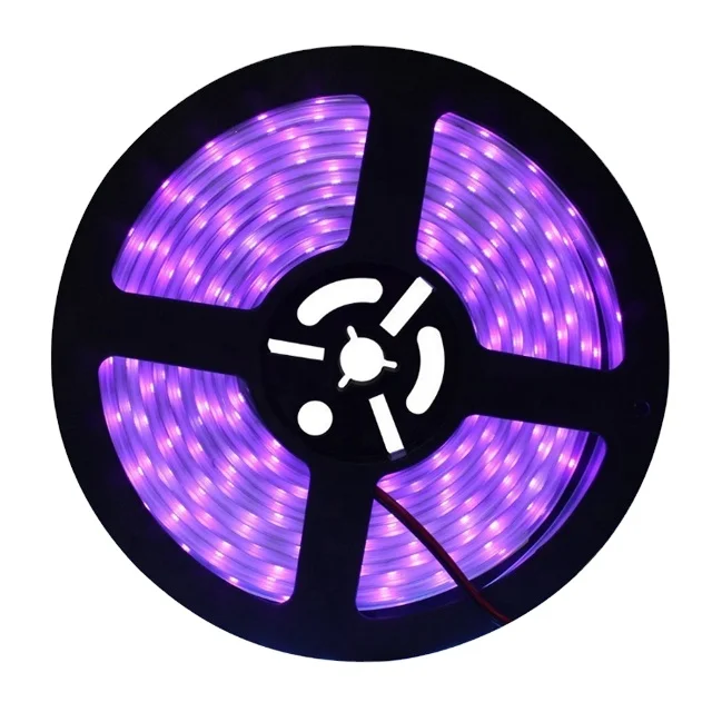 5050 LED light Strip 5M Waterproof DC 24V RGBW Colorful Light  Buy TV Smart BT Remote Control Decoration Light Led Lamp