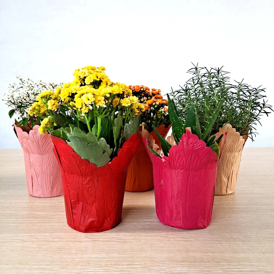 Custom  Kraft Paper Packaging Flower Pot Plant Cover Water Plants Package