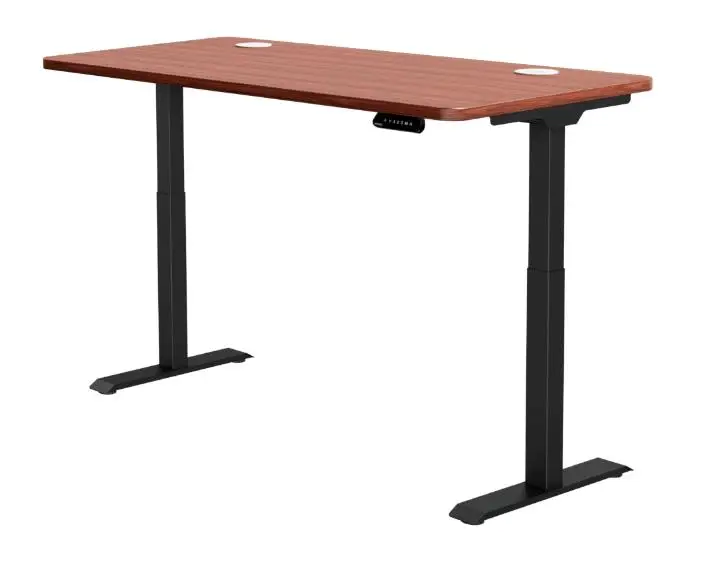 standing desk 2024 model type