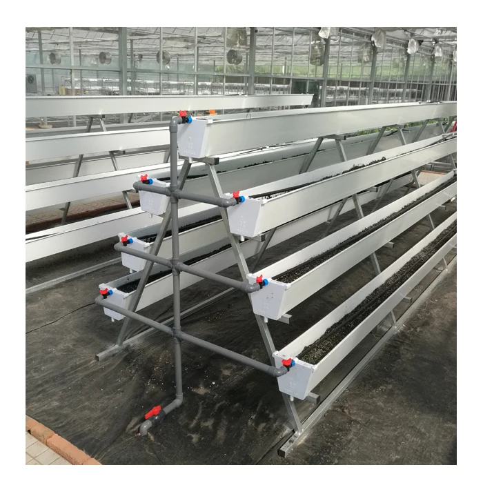 Agriculture Greenhouse Vertical Hydroponics Growing System for Strawberry