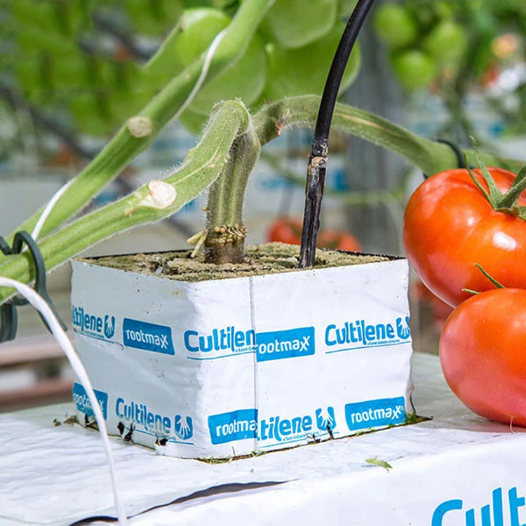 Hydroponics Aquaponic System Vertical Growing Media Rock Wool Blocks Cubes