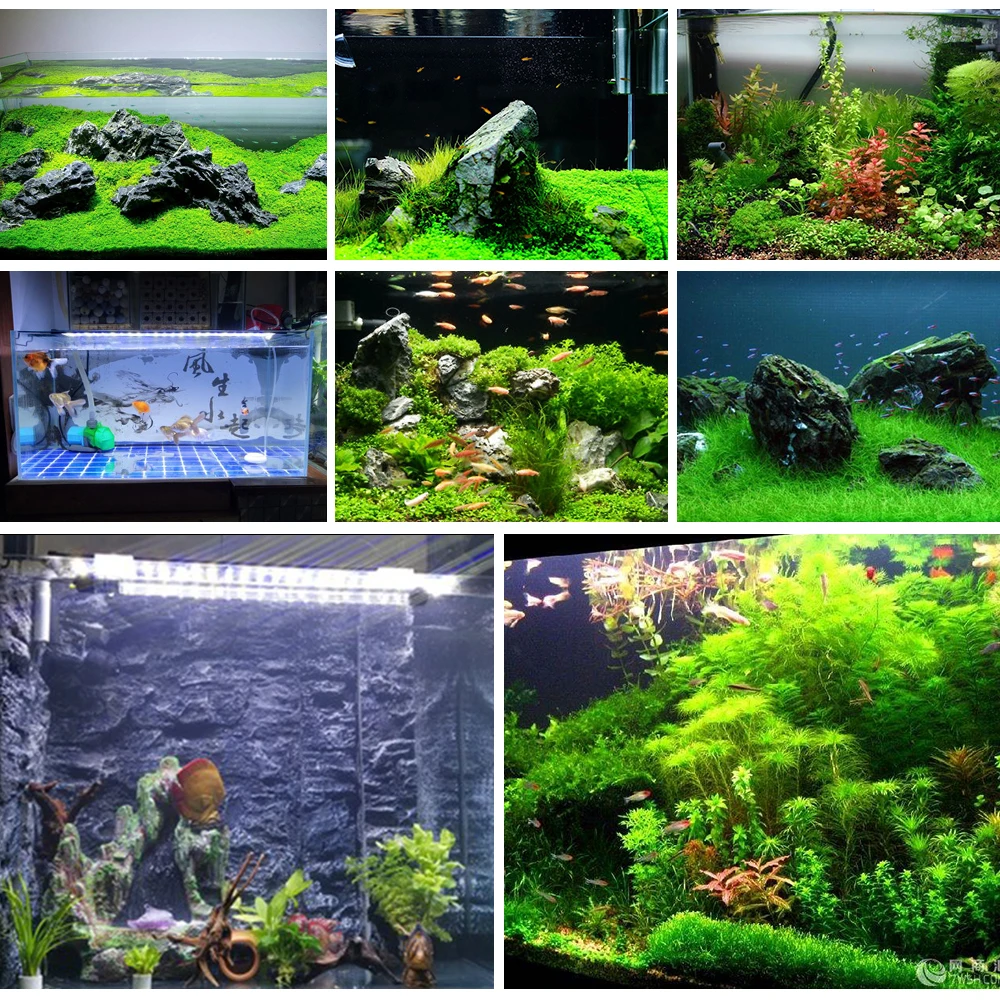 Raybow latest design 24w mini fish tanks clip marine reef full spectrum led aquarium lights lighting