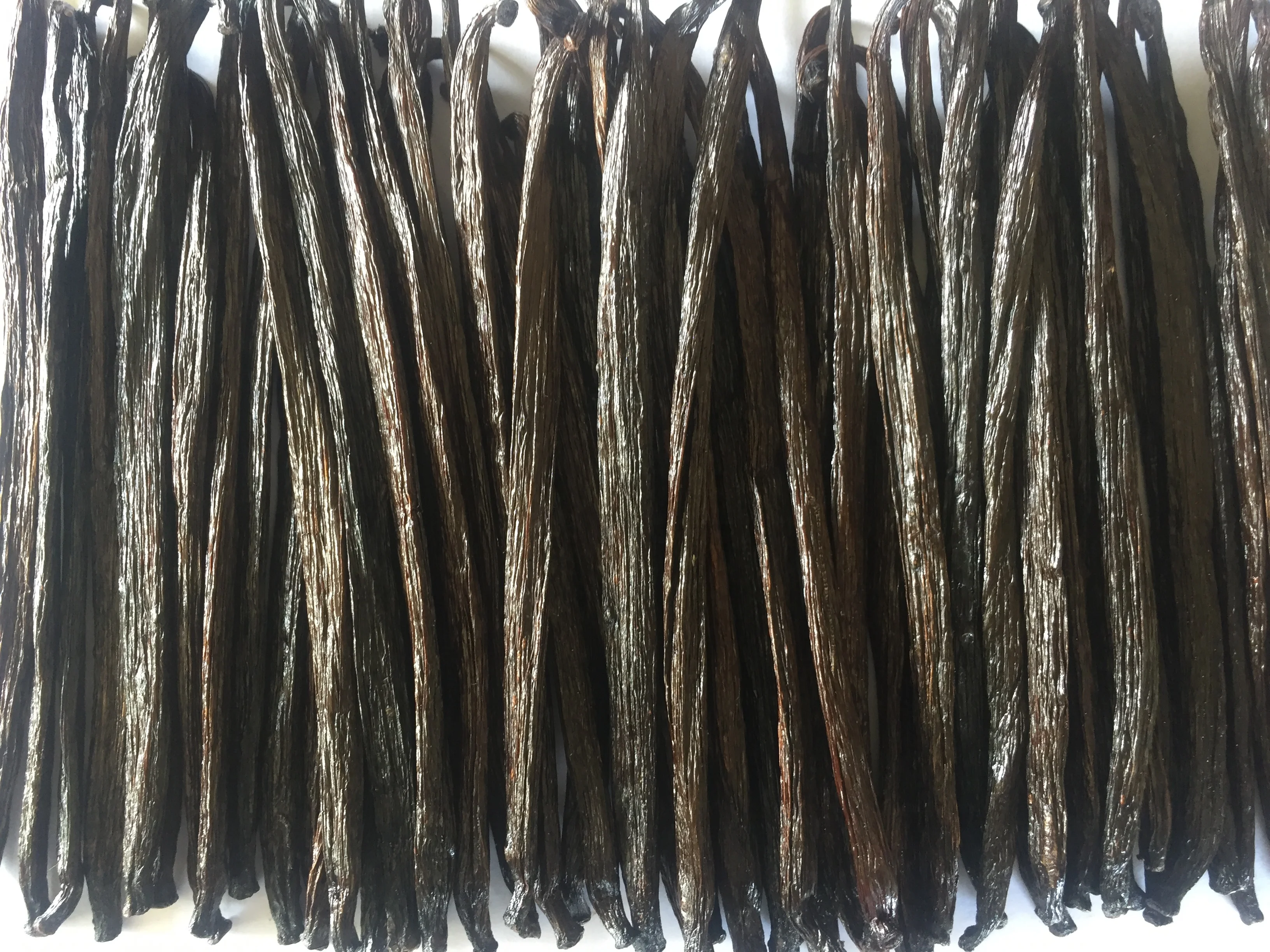 Роскошные Ванильные бобы Премиум-Качества, индонезийские хит продаж, Ванильные капсулы, разумная Лучшая цена, производитель TAHITENSIS GOURMET 18-19 см