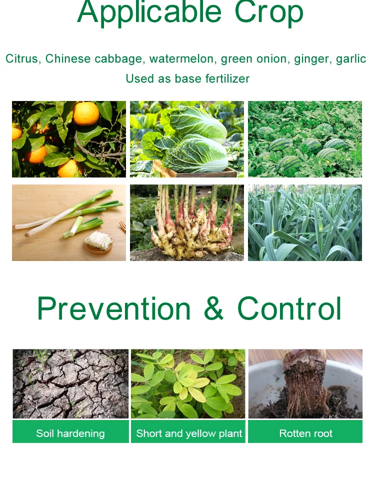 Предотвратить болезни уникальные продукты сельскохозяйственные удобрения важные функции для китайской капусты чеснока