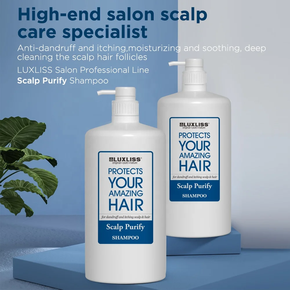 Private Label Hair Care Professional Salon 3L Natural Shampoo for Organic Argan Oil Morocco Shampoo and Conditioner