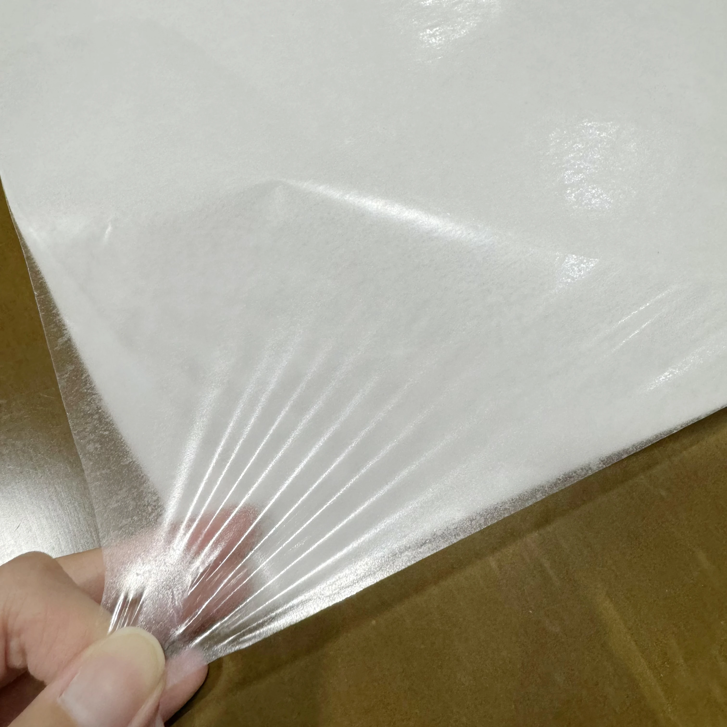 Factory Supplied High Quality Transparent TPU Hot Melt Adhesive Film Roll for Shoes Textile Fabric Lamination on Garments Bags