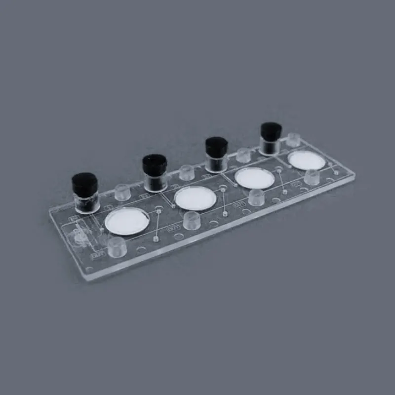 Customize Different Pattern Microfluidic Chip