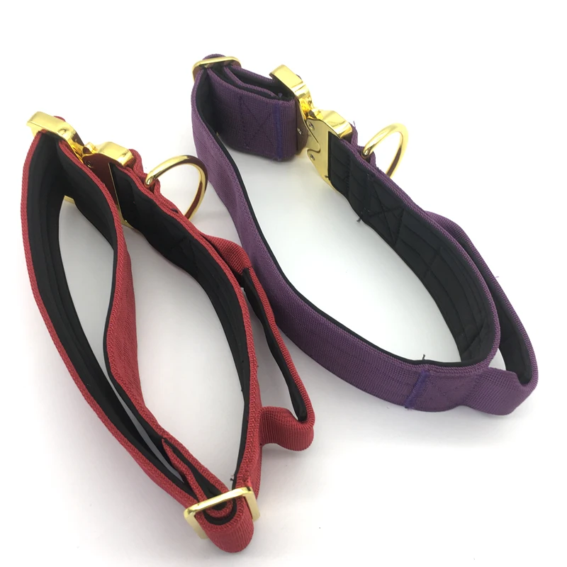 Customized Nylon Webbing Waterproof Dog Collar Light and Cute High End Dog Collar