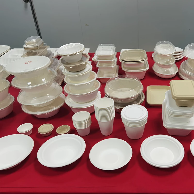 Kingwin Eco-friendly compostable disposable clamshell sugarcane food container bagasse with compartment