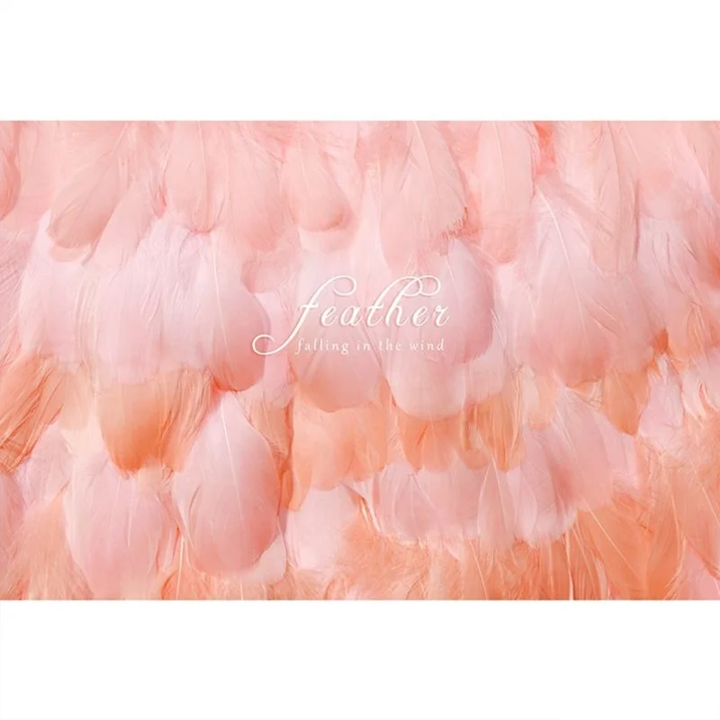 3D Pink Feather decorate Wallpaper Mural for office/Live broadcasting room