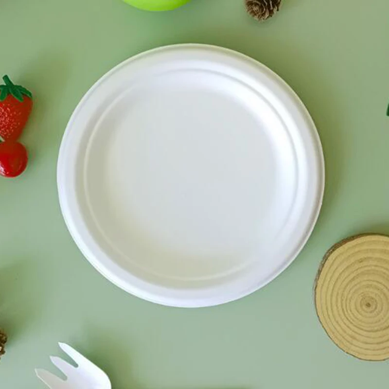 OEM ODM Eco Friendly Disposable Biodegradable Sugarcane Pulp Bagasse Sugar Cane Tableware 6 inch Food Round Plate